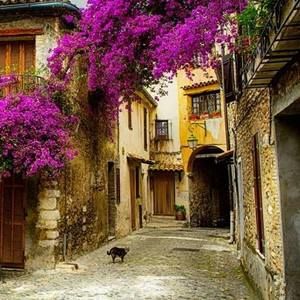 Meet your Posher, Mary